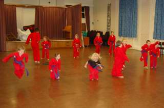 Huddersfield Cobras karate club gallery imagecobras_0002.JPG