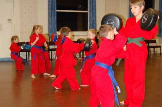 Karate pictures and photoscobras_0006.JPG