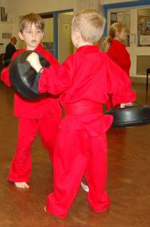 Huddersfield Cobras karate club gallery imagecobras_0008.JPG