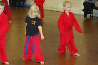 Huddersfield Cobrass free style karate, Honley, Holmfirthcobras_0009.JPG