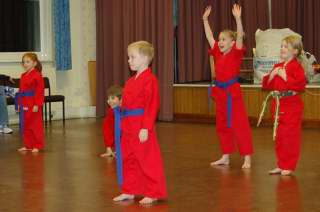 Huddersfield Cobras karate club gallery imagecobras_0016.JPG