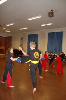 Cobras karate photocobras_0029.JPG