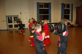 Karate pictures and photoscobras_0034.JPG