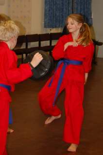 Freestyle karate picturescobras_0039.JPG