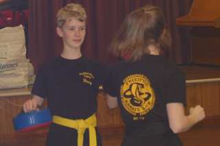 Freestyle karate picturescobras_0042.JPG