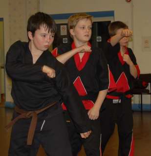 Freestyle karate picturescobras_0059.JPG