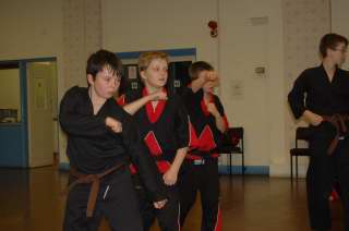 Freestyle karate picturescobras_0060.JPG