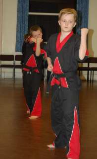 Freestyle karate picturescobras_0063.JPG