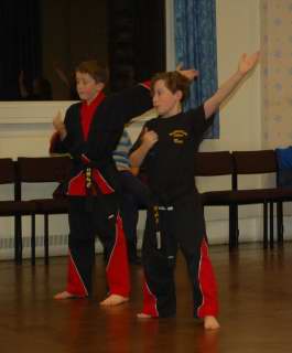 Freestyle karate picturescobras_0068.JPG