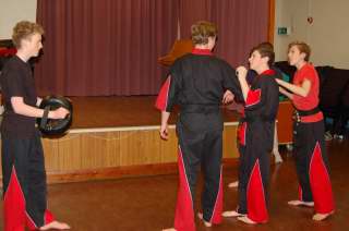 Freestyle karate picturescobras_0510.JPG