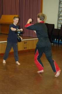 Freestyle karate picturescobras_0525.JPG