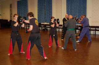 Huddersfield Cobrass free style karate, Honley, Holmfirthcobras_0552.JPG